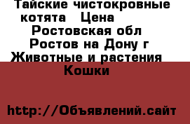 Тайские чистокровные котята › Цена ­ 2 500 - Ростовская обл., Ростов-на-Дону г. Животные и растения » Кошки   